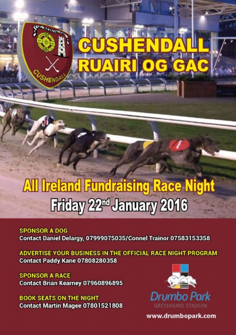 Great Night out at the Dogs