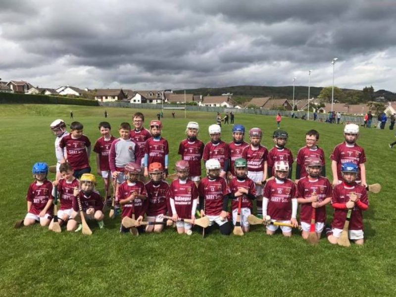 Our U10 Hurlers at the Half Time game
