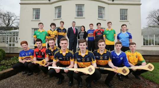 2015 Ulster Hurling All Stars